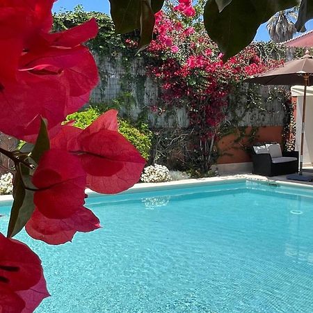 Studio With Private Swimming Pool And Garden Cascais Eksteriør billede